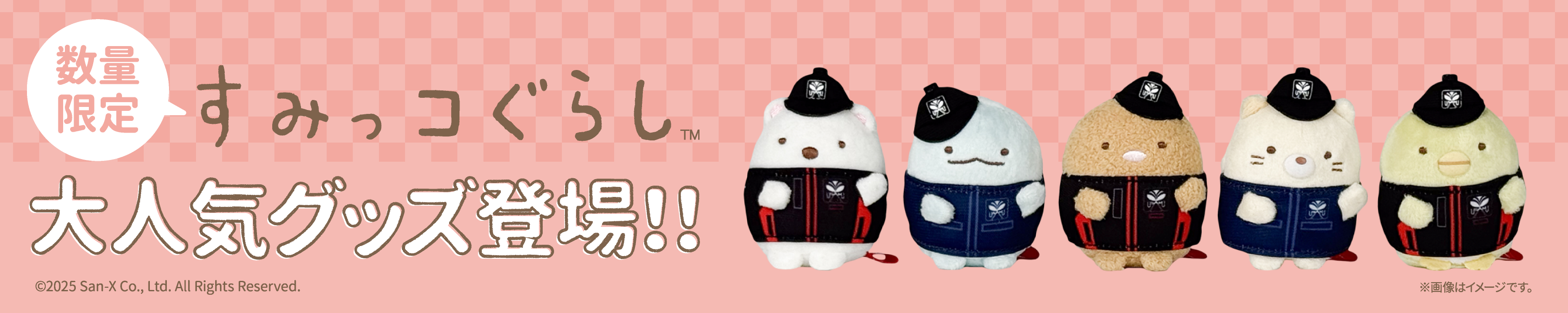 すみっこぐらし 大人気グッズ登場!!